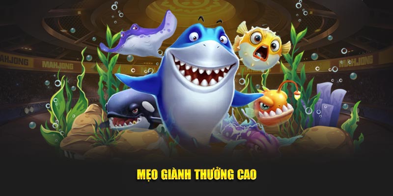 Mẹo giành thưởng cao